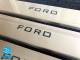 Накладки на пороги Ford Ecosport(Форд Экоспорт) надпись краской
